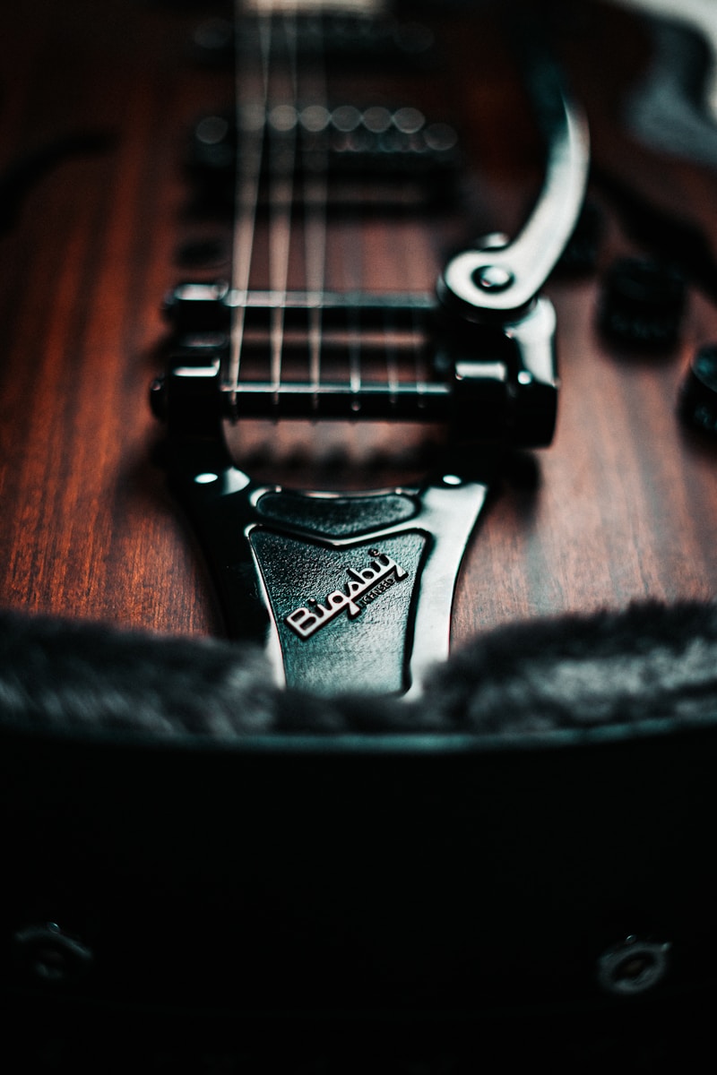 a close up of a guitar with a case